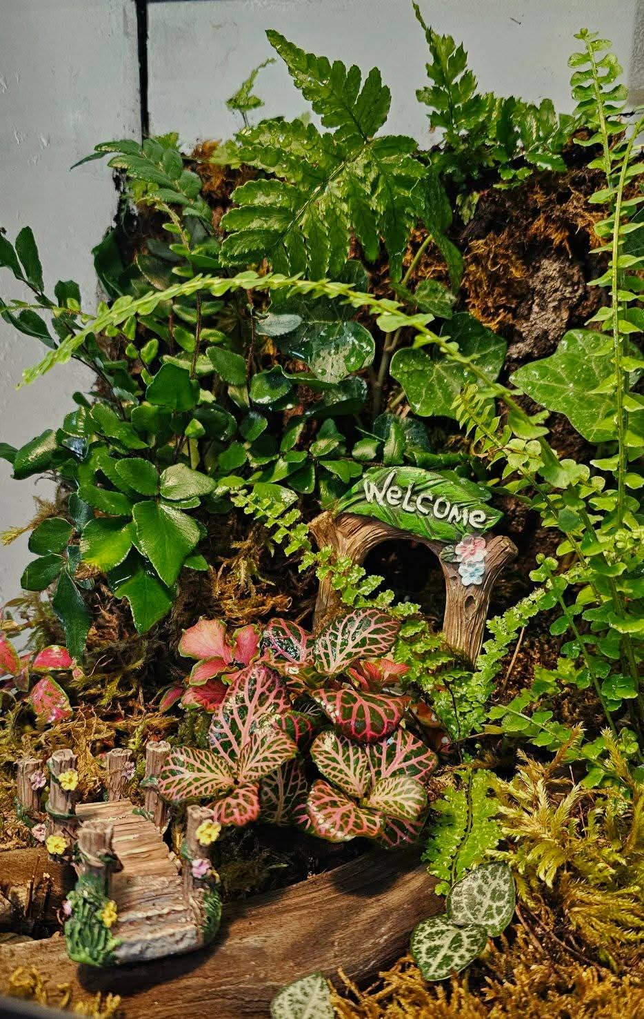 Plant &amp; Gift Baskets – A Gift That Grows