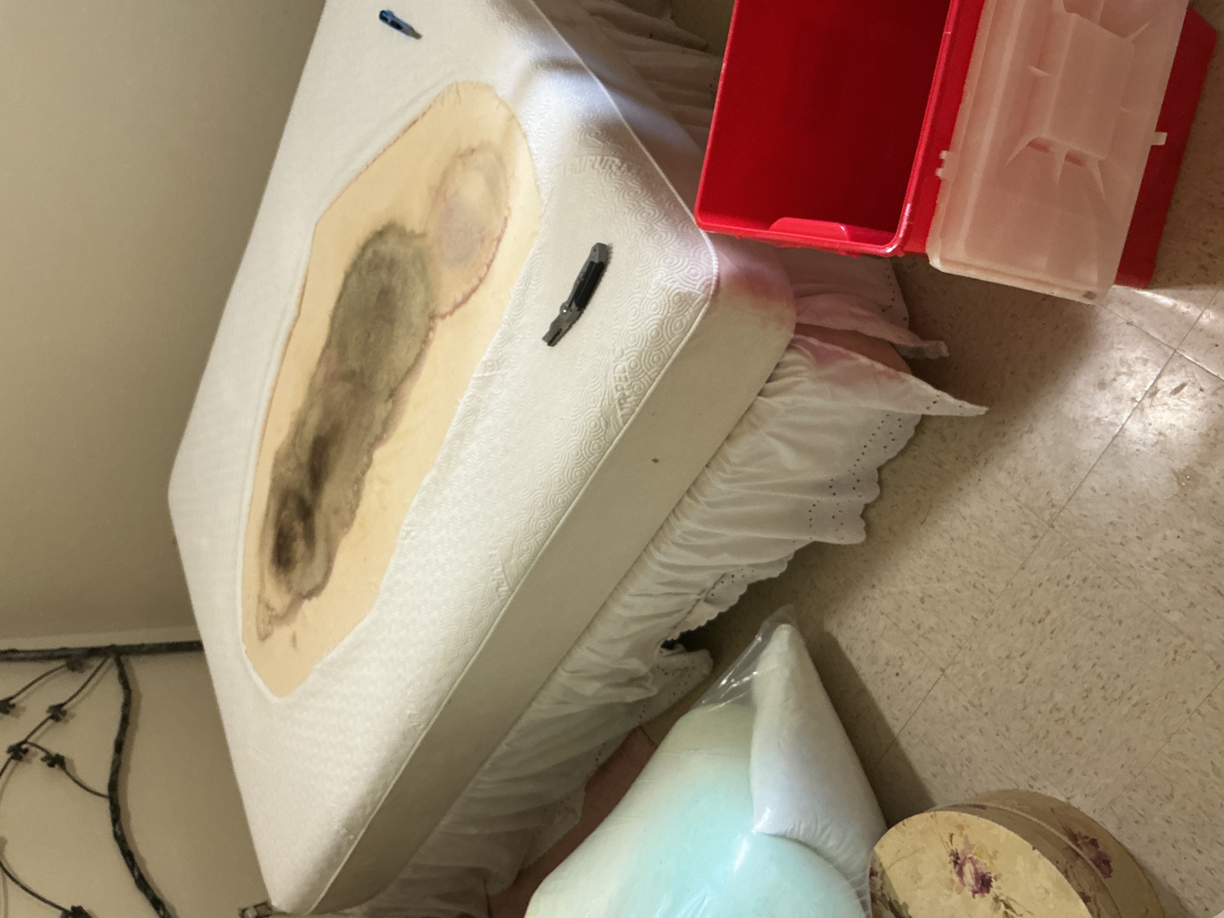 <span style="-webkit-text-size-adjust: 100%;">BioHazard Remediation&nbsp;</span>