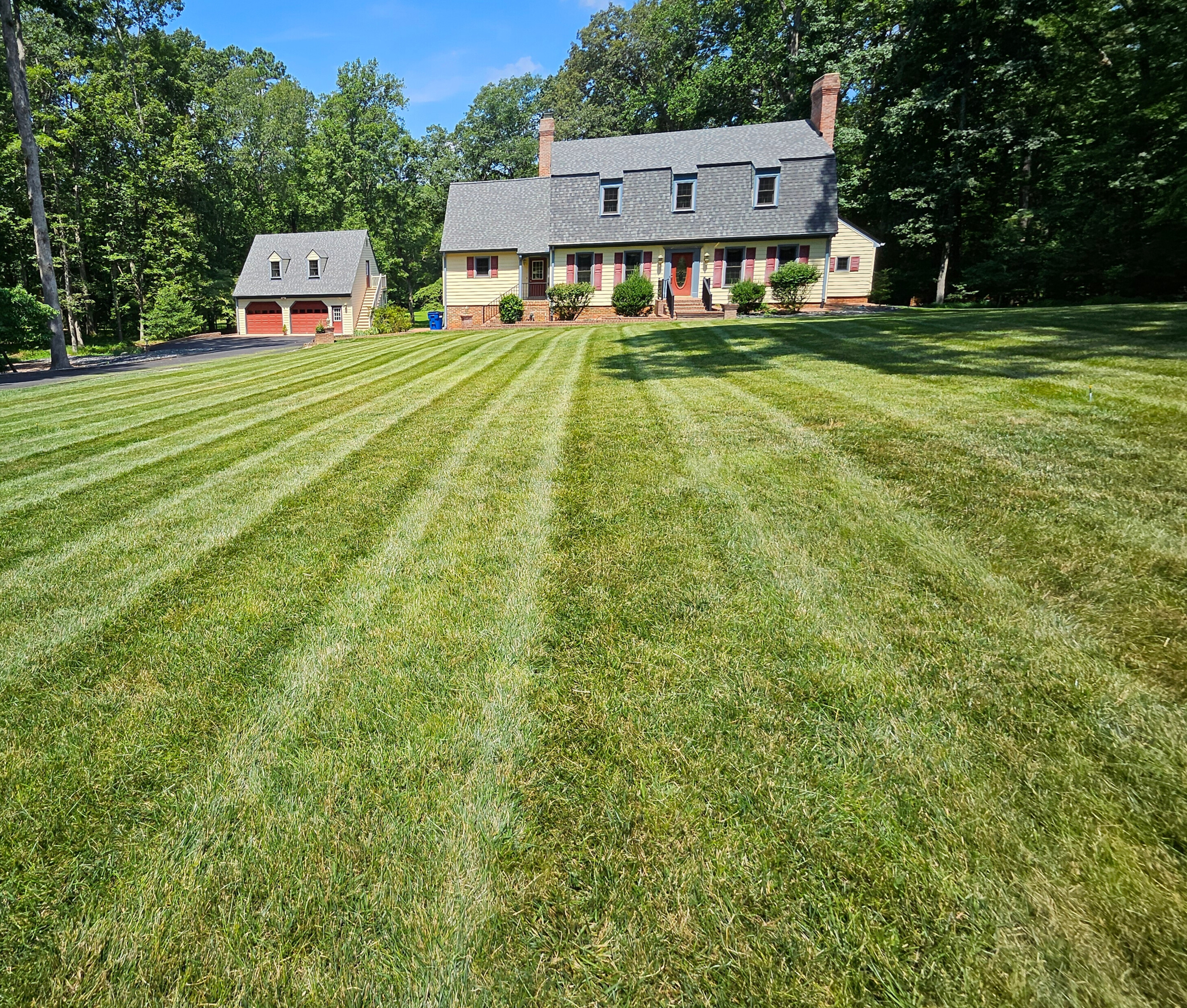 Transform your lawn into a vibrant oasis with GreenScapes Lawncare! <div><br></div><div><br></div>
