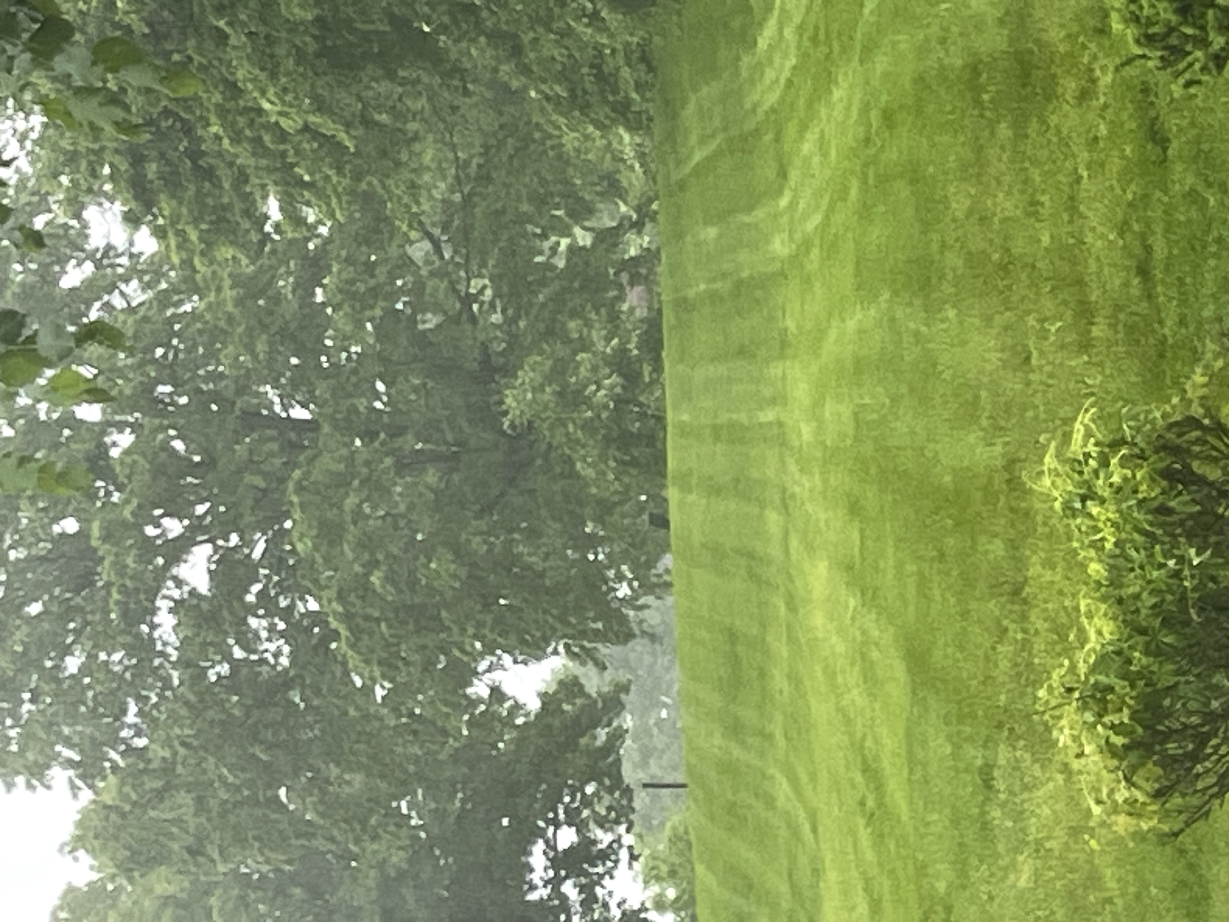 grid-img
