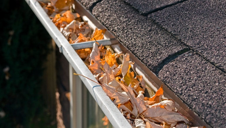 Professional gutter cleaning