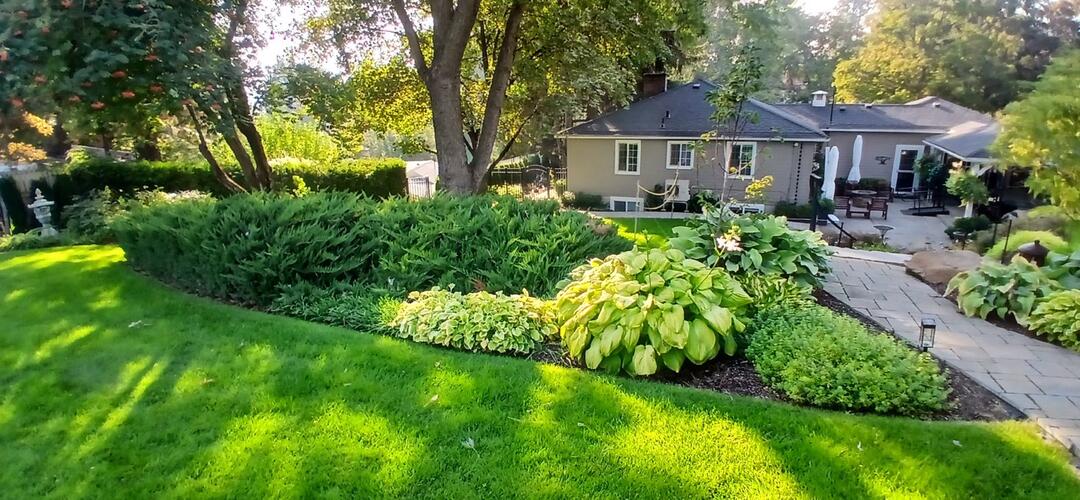 Transform and/or Maintain Your Outdoor Space with Us