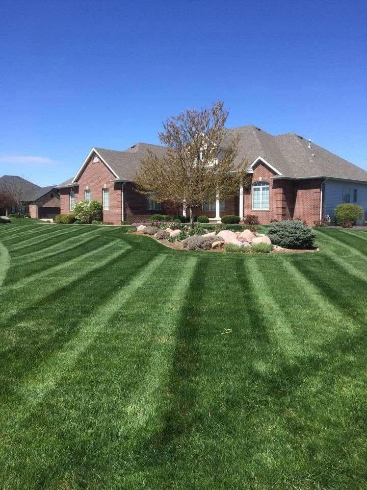 Transform Your Lawn with Our Expertise