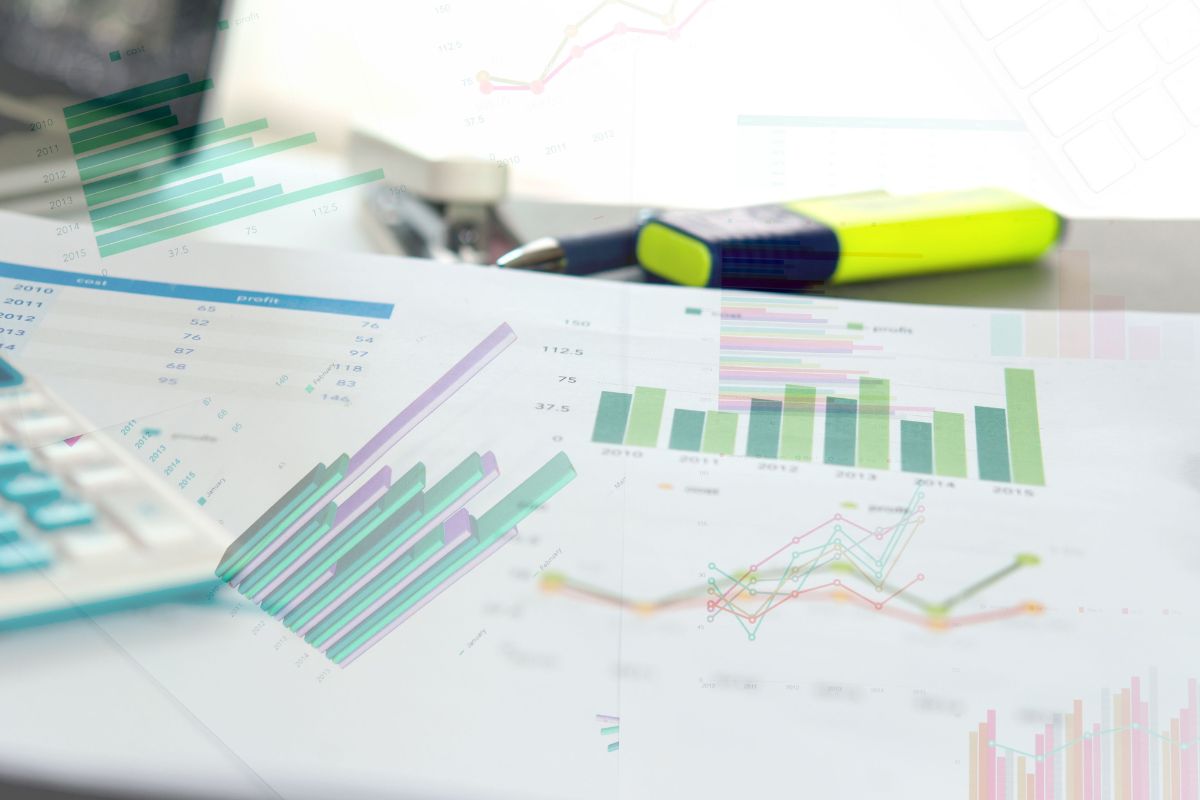 Skillful Financial Guidance and Insights