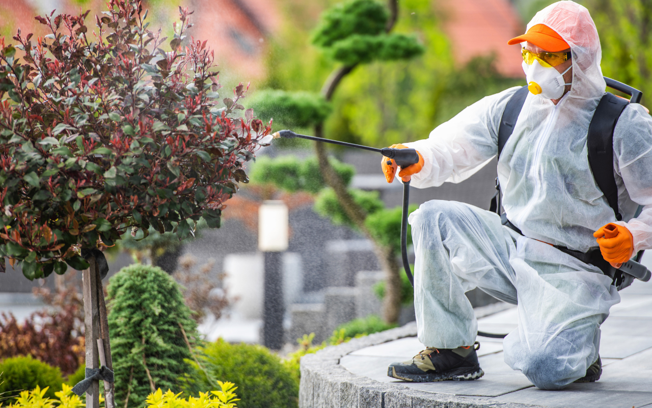 Specialized Treatment for Tree Pests