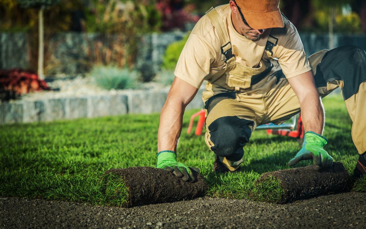 Quick and Efficient Sod Installation